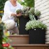 imageKeter Cylinder Set of 3 Rattan Resin Planter for Indoor and Outdoor Plants Ideal Decorative Planter for Porches and Patio Decor TaupeBlack