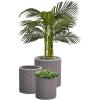 imageKeter Cylinder Set of 3 Rattan Resin Planter for Indoor and Outdoor Plants Ideal Decorative Planter for Porches and Patio Decor TaupeTaupe