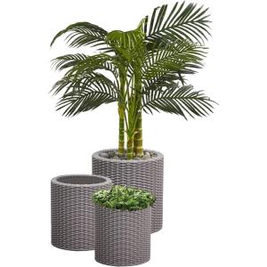 imageKeter Cylinder Set of 3 Rattan Resin Planter for Indoor and Outdoor Plants Ideal Decorative Planter for Porches and Patio Decor TaupeTaupe